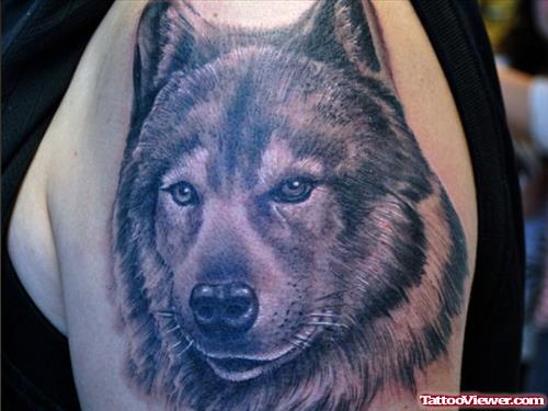 Grey Ink Wolf Head Tattoo Pm Left Shoulde For Men
