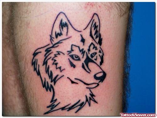 Black Outline Wolf Tattoo On Side Rib
