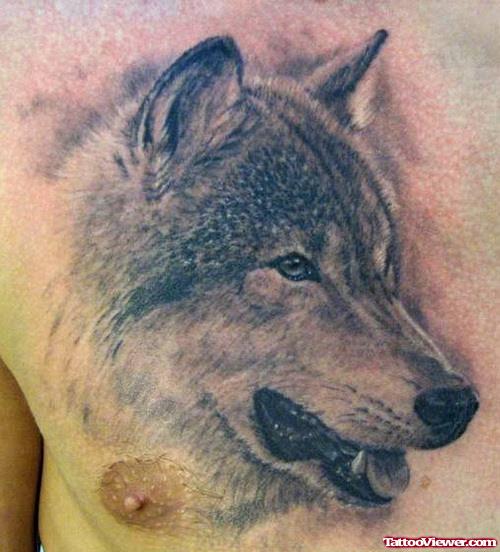 Amazing Grey Ink Wolf Head Tattoo On Man Chest