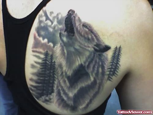 Realistic Grey Ink Wolf Tattoo On Right Back Shoulder