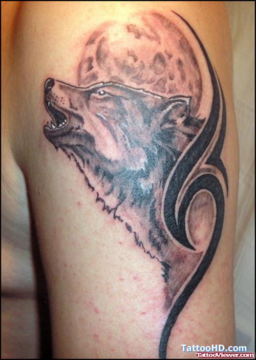 Grey Ink Wolf Head And Tribal Tattoo On Left Shoulder