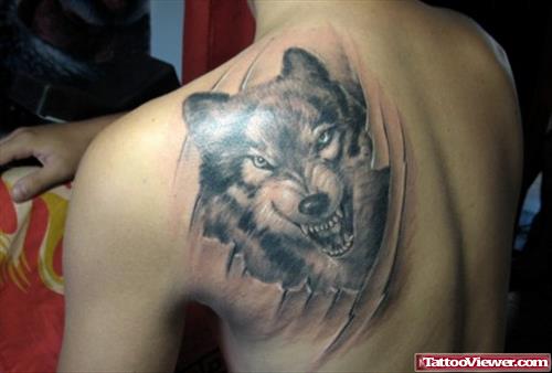 Grey Ink Wolf Tattoo On Left Back Shoulder