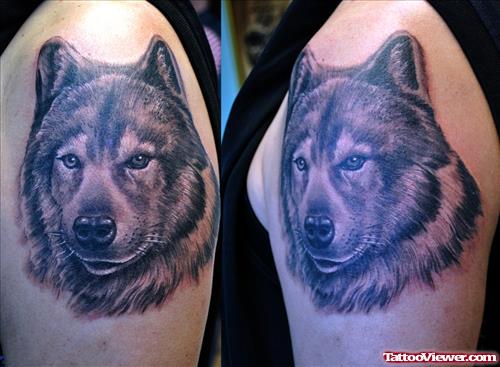 Grey Ink Wolf Head Tattoos On Shoulder