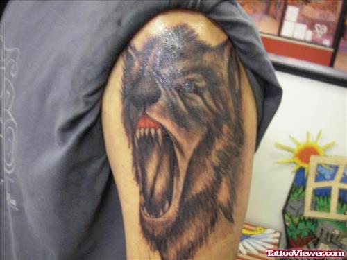 Grey Ink Crying Wolf Head Tattoo On Half Sleeve