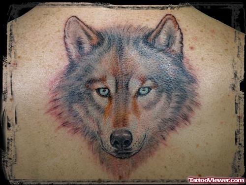 Alpha Wolf Tattoo On Upperback
