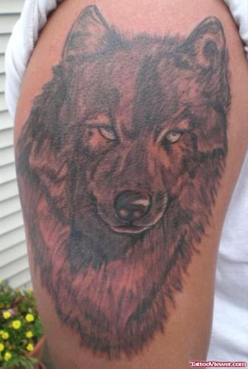 Dangerous Angry Wolf Tattoo
