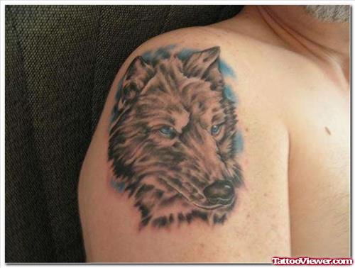 Popular Wolf Tattoo