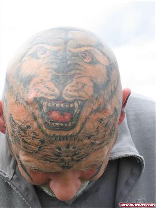 Wolf Tattoo On Man Head