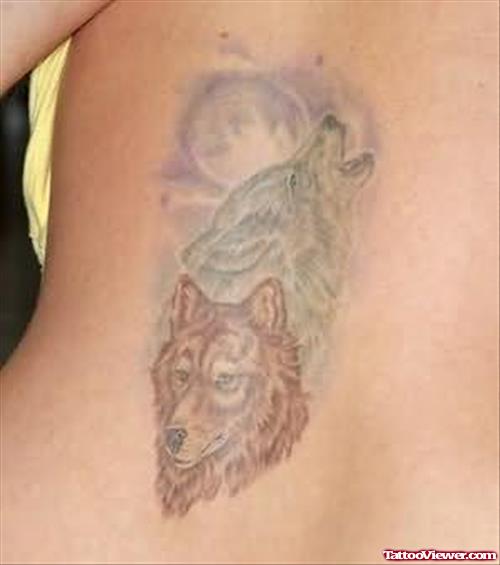 Tattoo Picture of Wolf