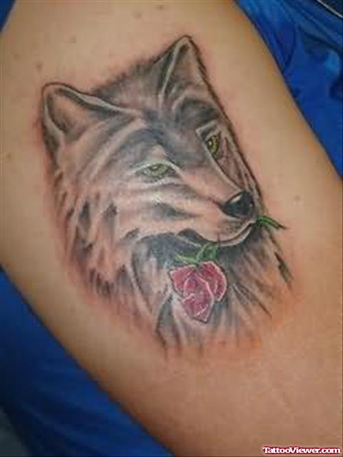 Tattoo of Wolf with a Rose