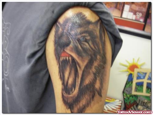 Black Angry Wolf Tattoo On Bicep