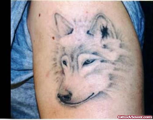Wolf Tattoo Done By Artist