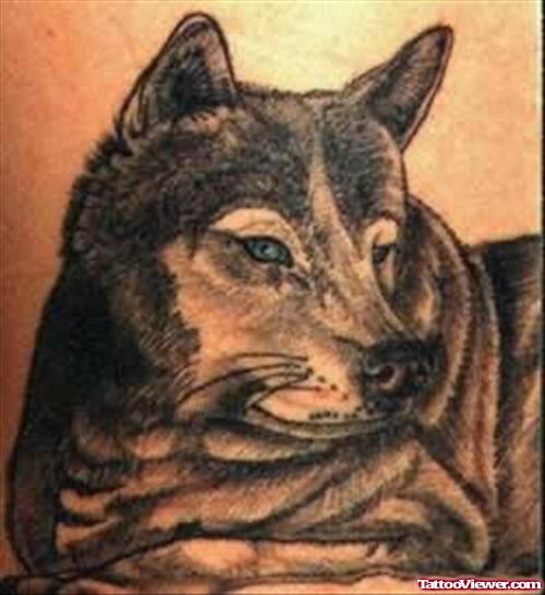 Wolf Sitting Tattoo