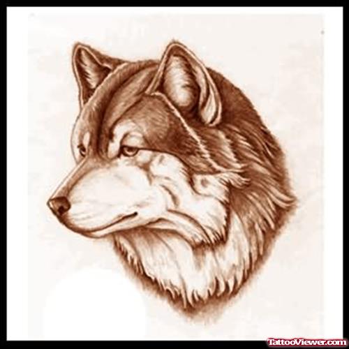 Brown Colour Wolf Tattoo