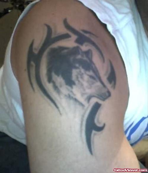 Wolf Tribal Shoulder Tattoo