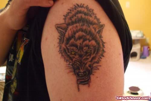 Scary Wolf Tattoo On Shoulder