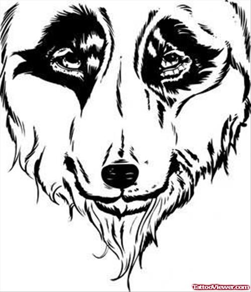 Wolf Closeup Tattoo Drawing