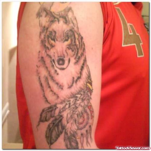 Feathers And Wolf Tattoo On Shoulder