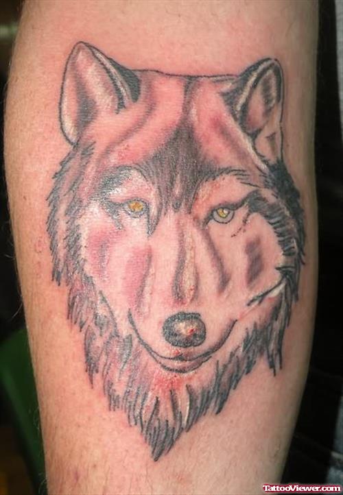 Amazing Wolf Head Tattoo