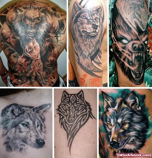 Random Wolf Tattoos Pictures