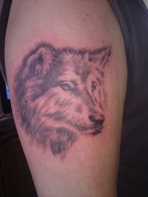 Wolf Tattoo For Men On Bicep
