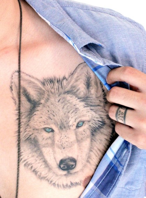 Nice Grey Ink Wolf Head Tattoo On chest