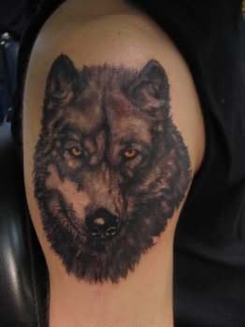 Serious Looking Wolf Tattooed On Upper Arm