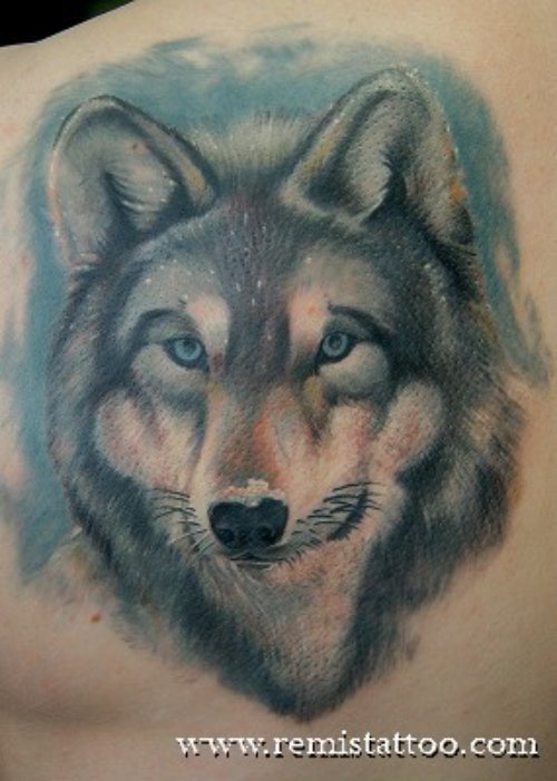 Grey Ink Wolf Tattoo On Back Shoulder