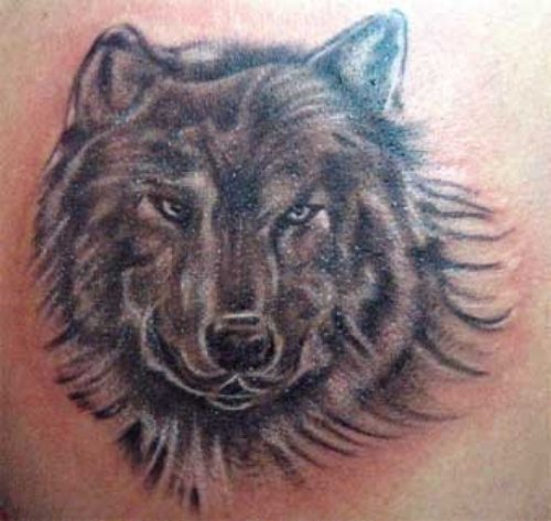 Amazing Wolf Head Tattoo On Back