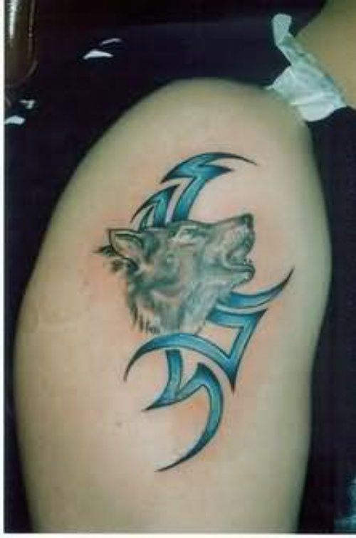 Colorful Wolf Tattoo For Bicep