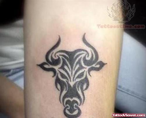 Tribal Taurus Tattoo
