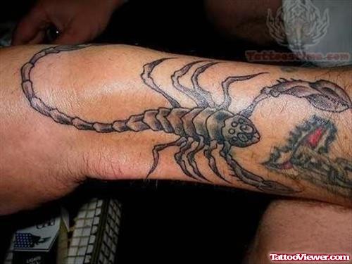 Large Scorpio Tattoo