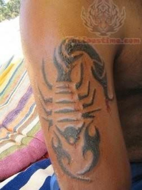 Scorpio Engraved on the Arm