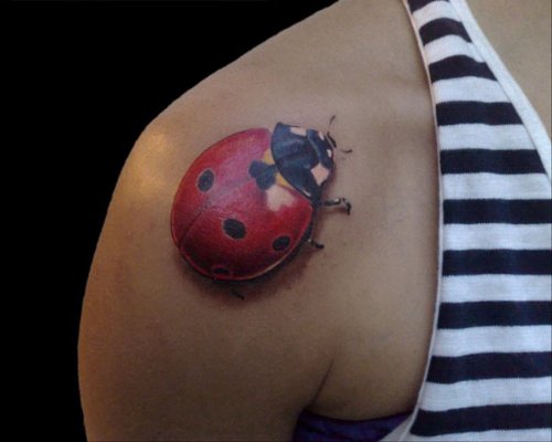 3D Ladybug Tattoo On Shoulder