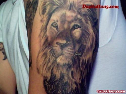 Grey Ink African Lion HEad Tattoo On Left Half Sleeve
