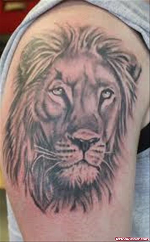 African Lion Face Tattoo On Bicep