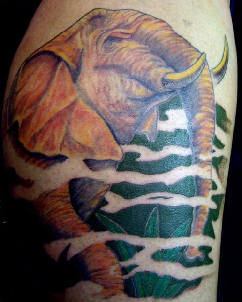 Realistic African Elephant Tattoo