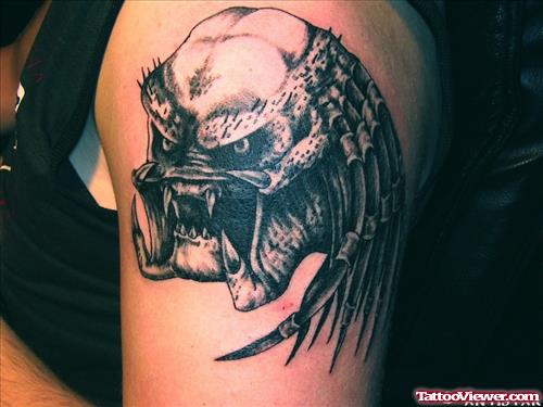 Grey Ink predator Head Tattoo On Left SHoulder