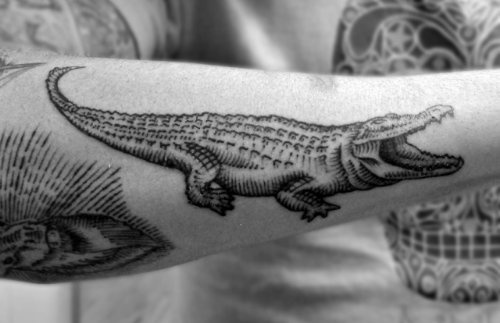 Grey Ink Alligator Tattoo On Right Arm