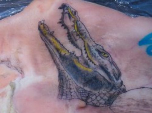 Alligator Head Tattoo