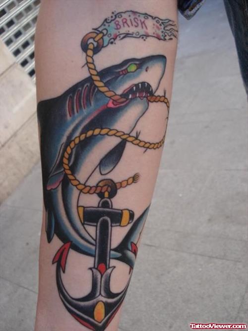 Shark And Anchor Tattoo