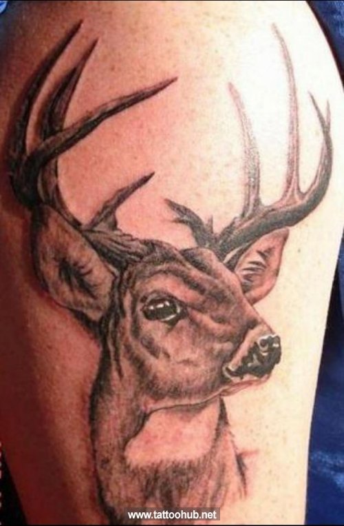 Grey Ink Deer Head Animal Tattoo