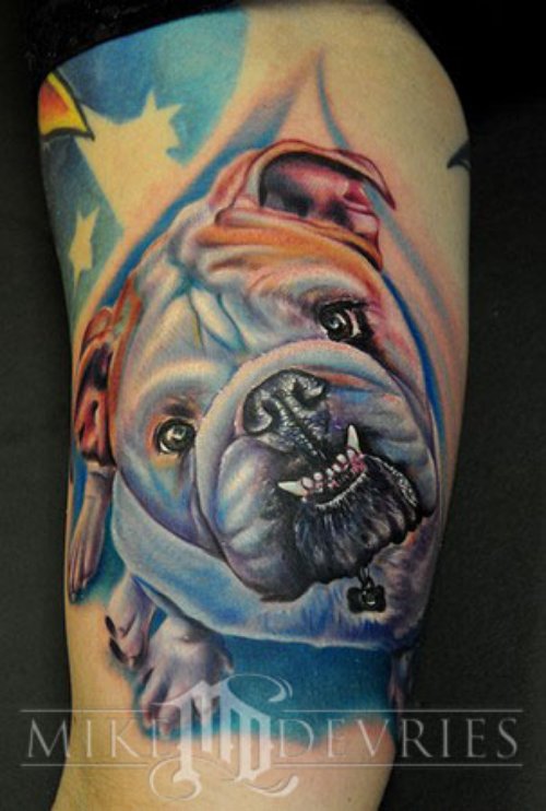Color Bull Dog Animal Tattoo