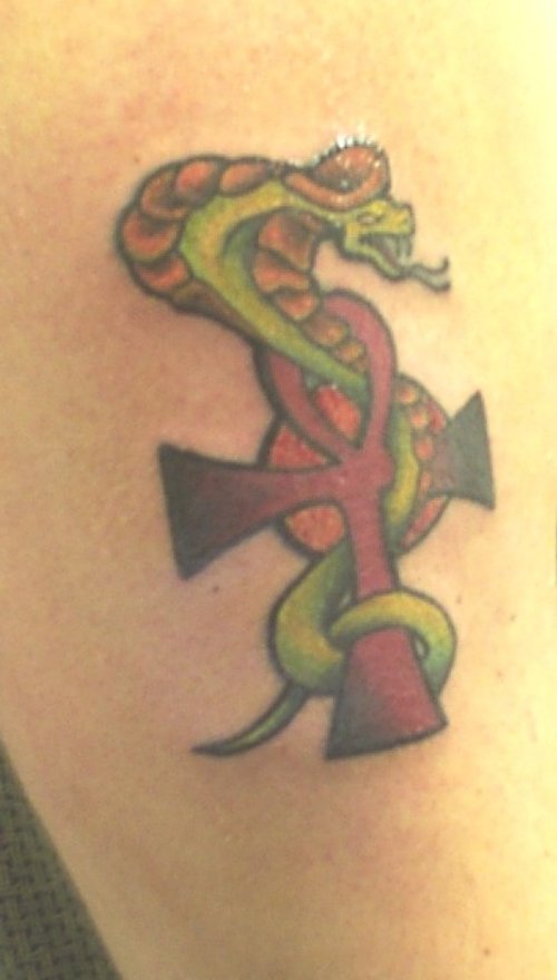 Snake And Ankh Tattoo On Arm