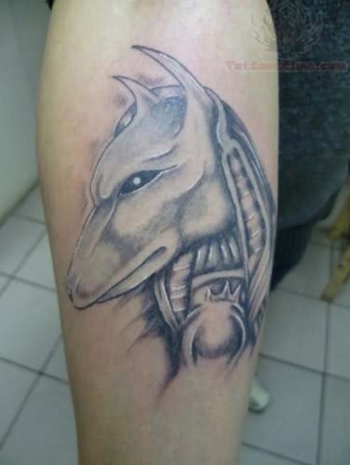 Grey Ink Anubis Head Tattoo On Arm