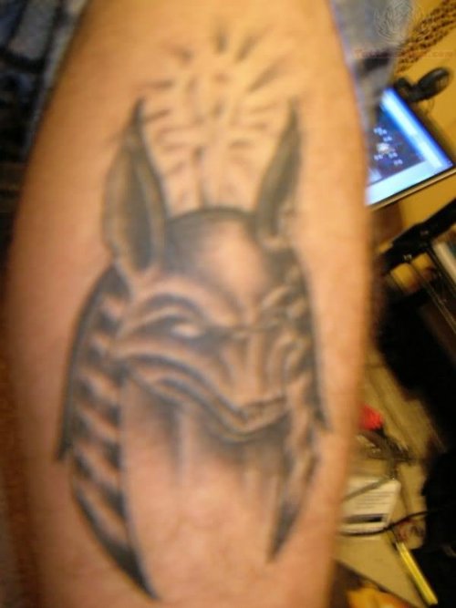 Grey Ink Lord Anubis Head Tattoo