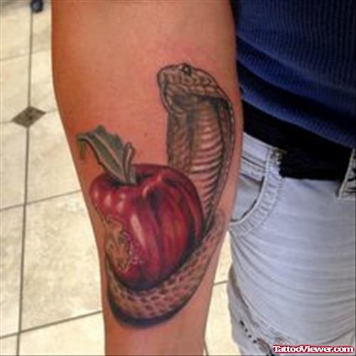 Snake and Red Apple Tattoo On Right Arm