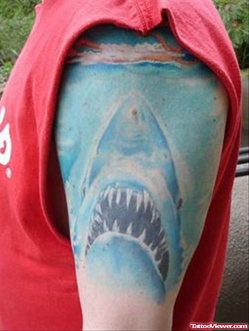 Blue Ink shark Head Aqua Tattoo on Biceps