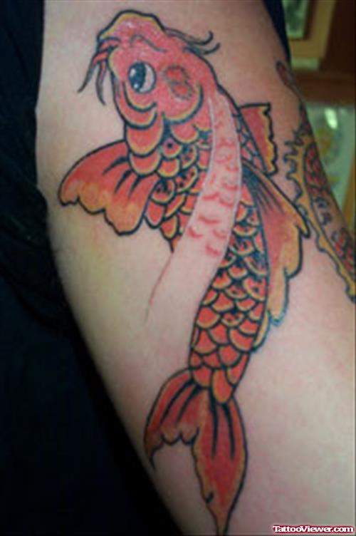 Aqua Fish Tattoo On Bicep