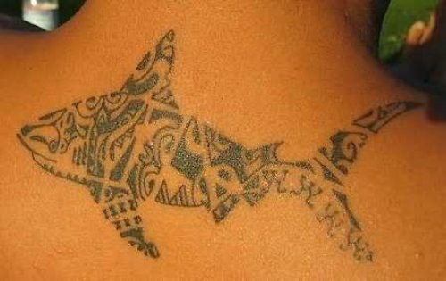 Black Tribal Shark Aqua Tattoo On Upperback